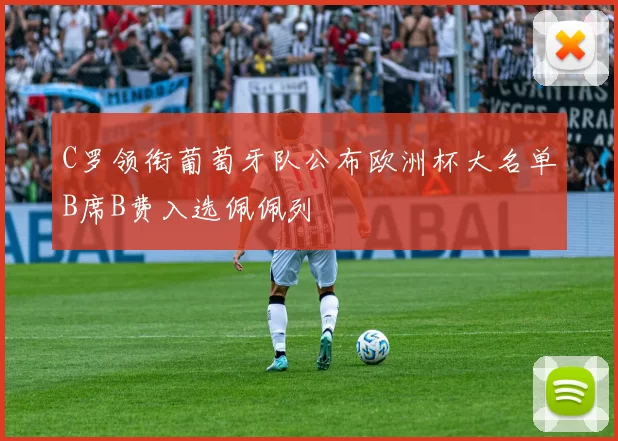 C罗领衔葡萄牙队公布欧洲杯大名单B席B费入选佩佩列