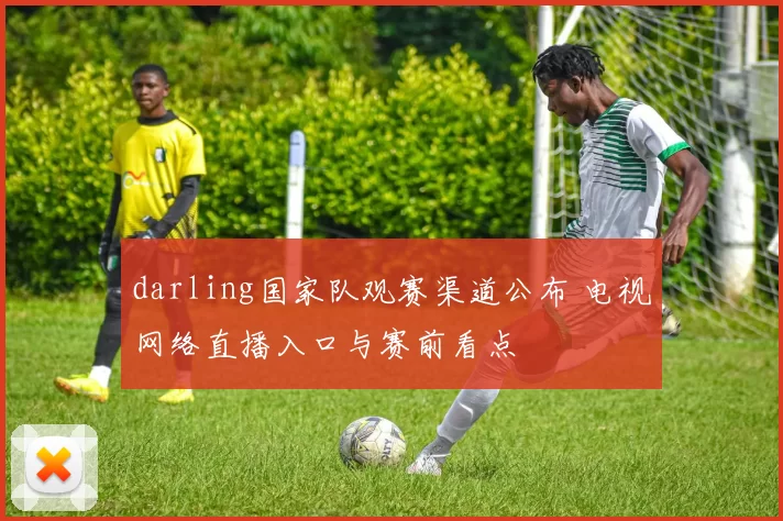darling国家队观赛渠道公布 电视网络直播入口与赛前看点