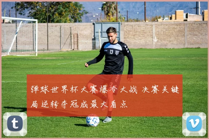 弹球世界杯大赛爆冷大战 决赛关键局逆转夺冠成最大看点