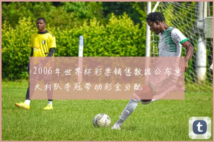 2006年世界杯彩票销售数据公布意大利队夺冠带动彩金分配