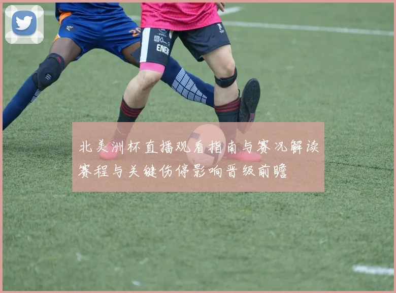北美洲杯直播观看指南与赛况解读赛程与关键伤停影响晋级前瞻