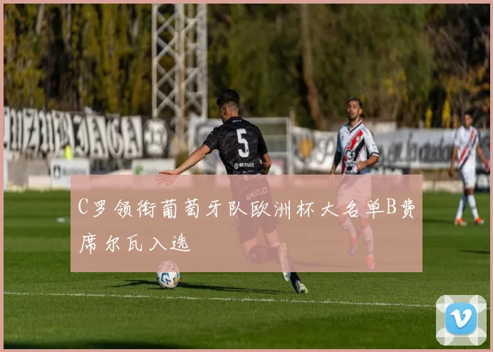 C罗领衔葡萄牙队欧洲杯大名单B费席尔瓦入选
